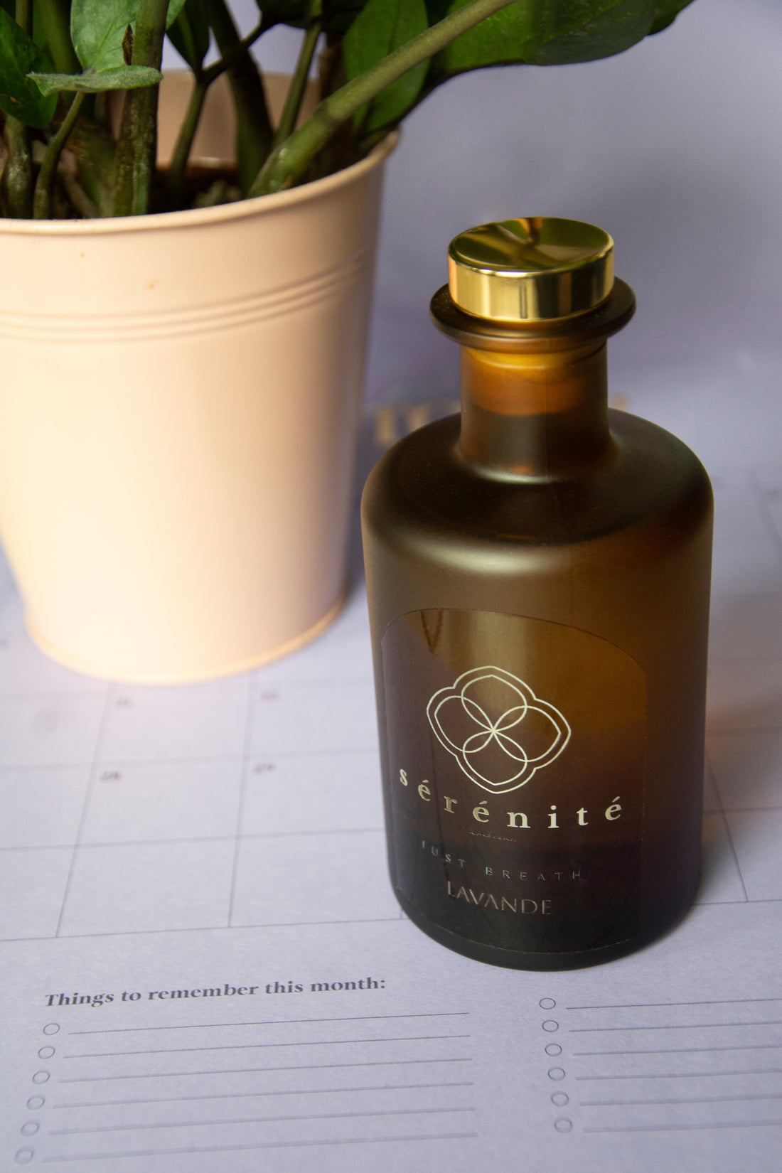 Diffuseurs à bâtonnets : une diffusion continue pour apaiser le stress et harmoniser votre intérieur