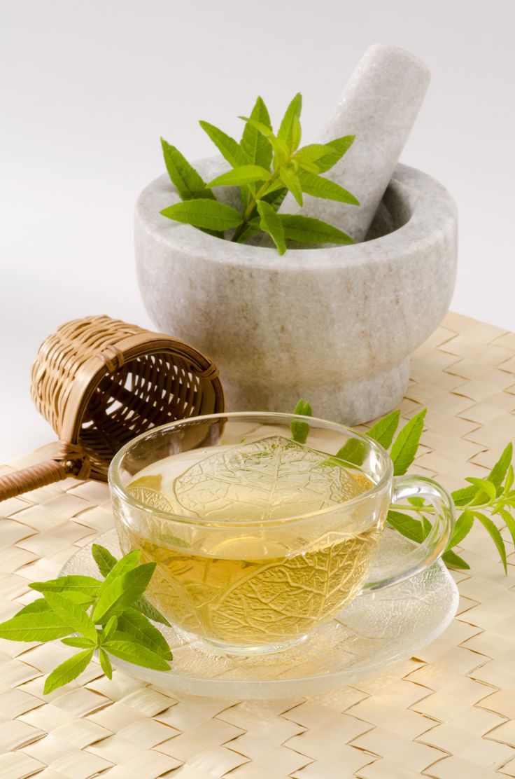 Verveine