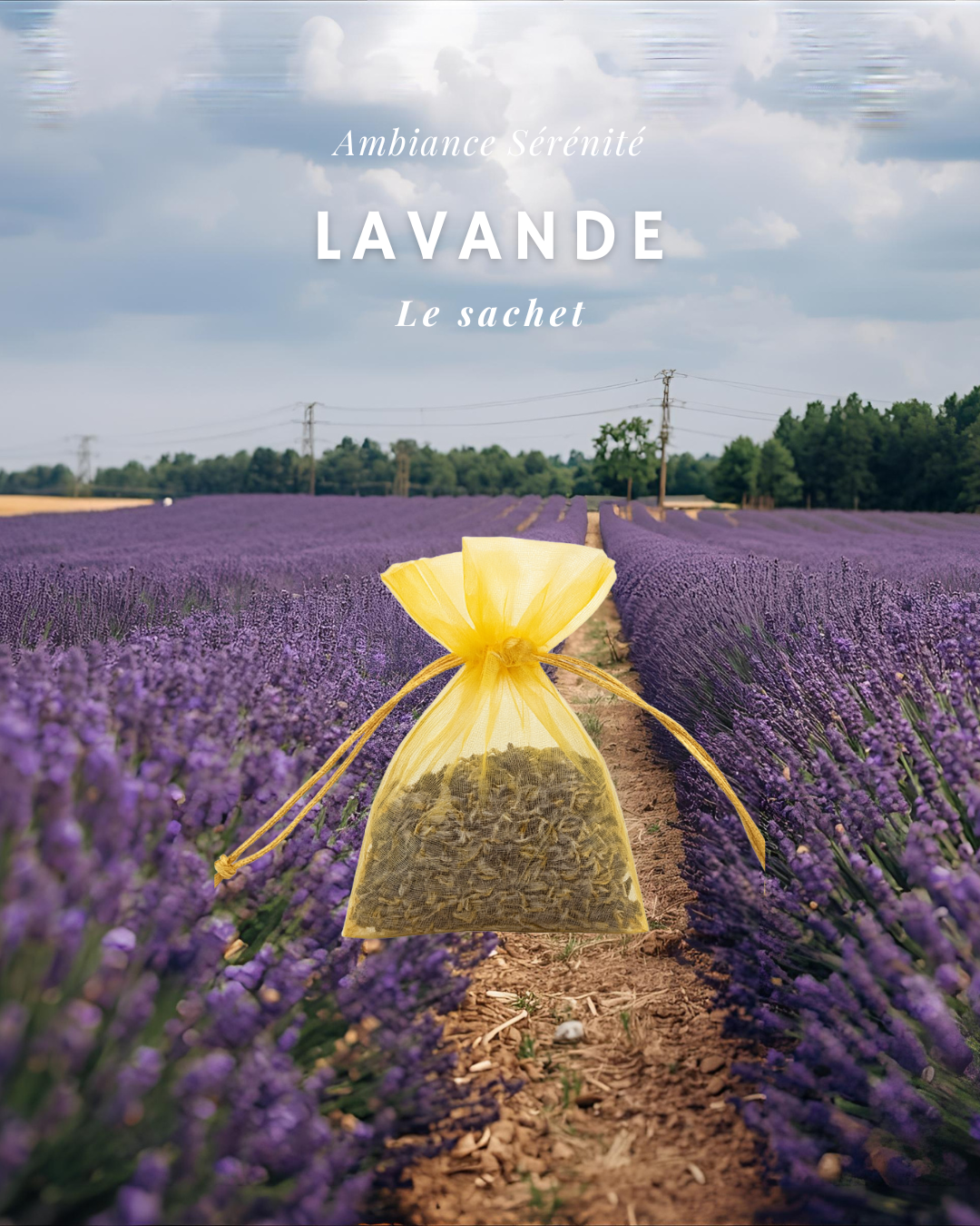Sachet de Lavande