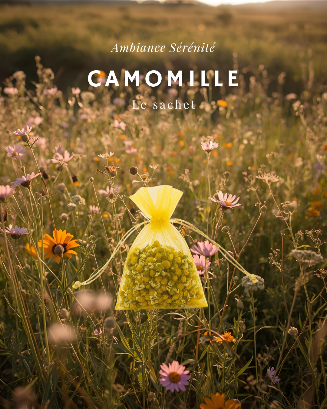 Sachet de Camomille