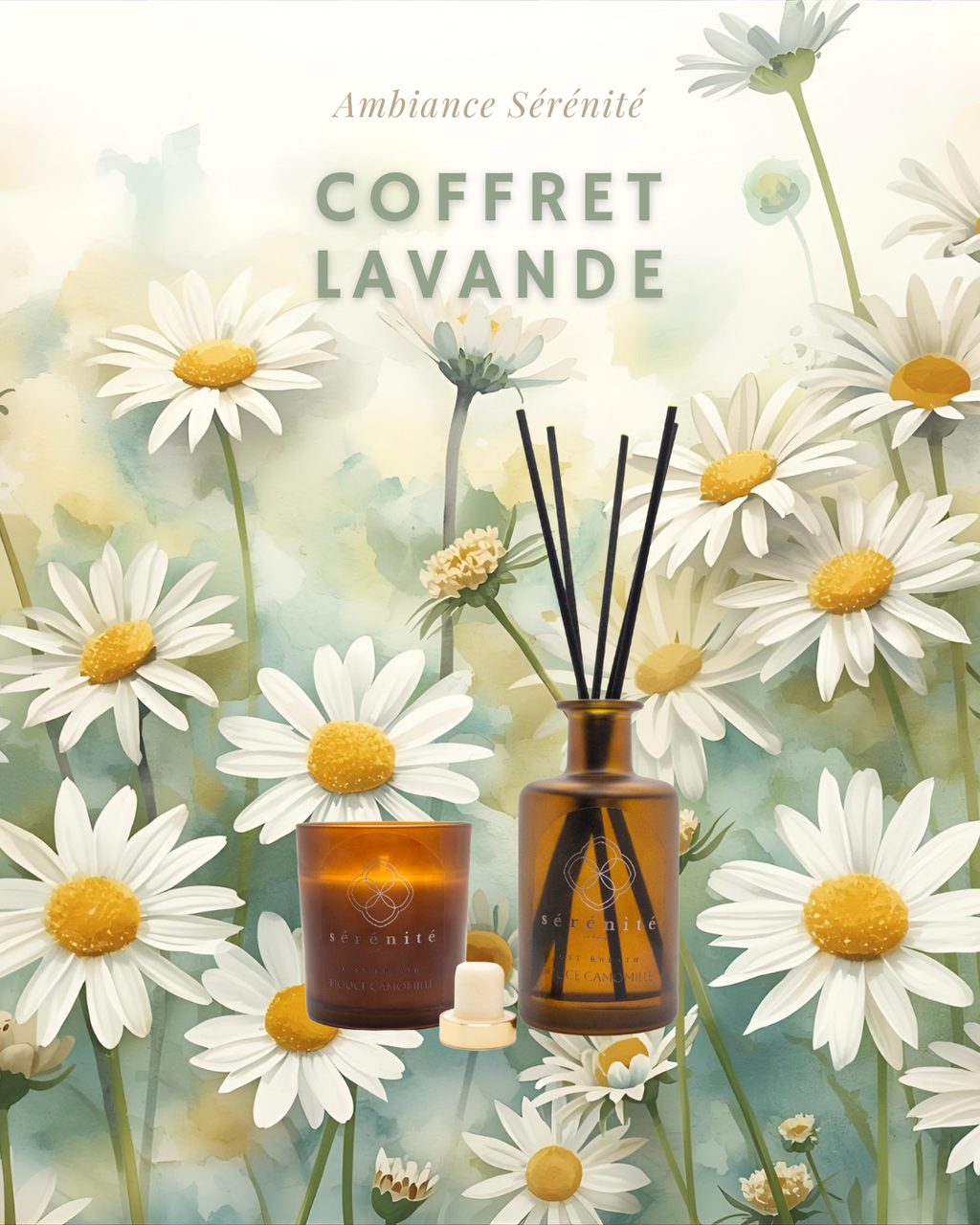 Coffret Camomille