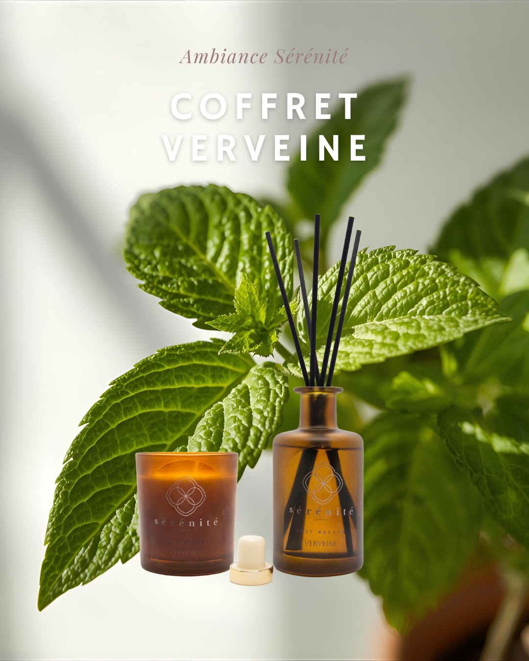 Coffret Verveine